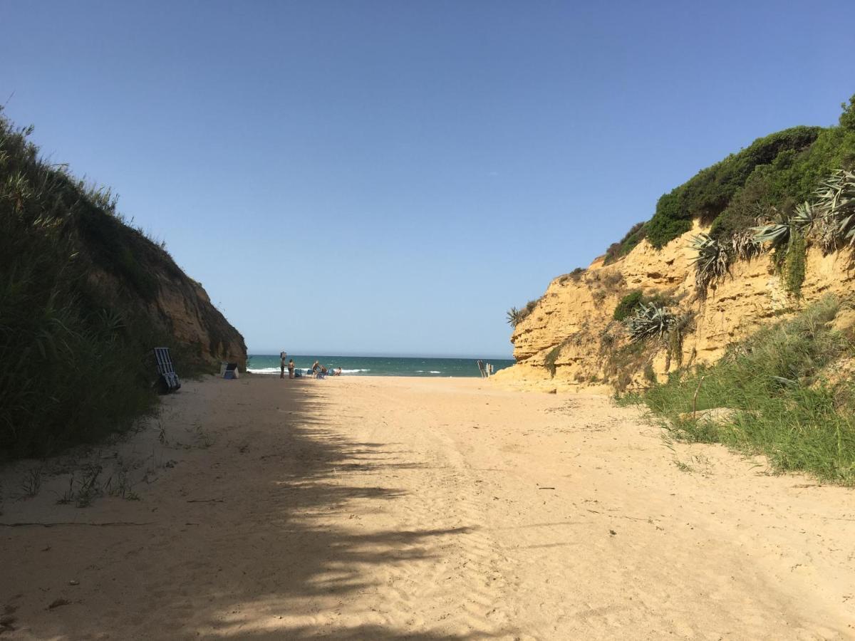 Villa Anyway Conil Un Lujo Frente Al Mar Conil De La Frontera Ngoại thất bức ảnh