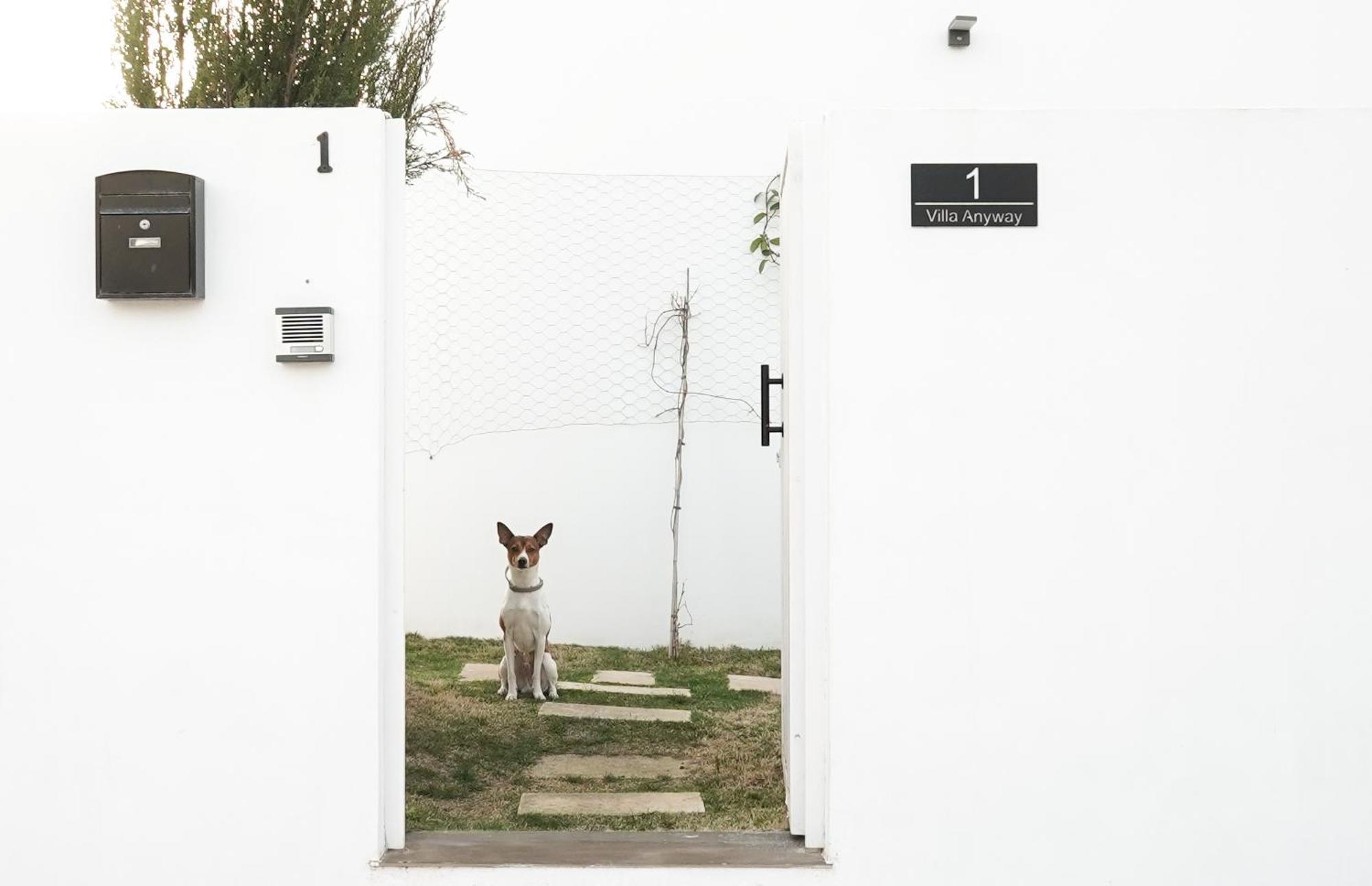 Villa Anyway Conil Un Lujo Frente Al Mar Conil De La Frontera Ngoại thất bức ảnh